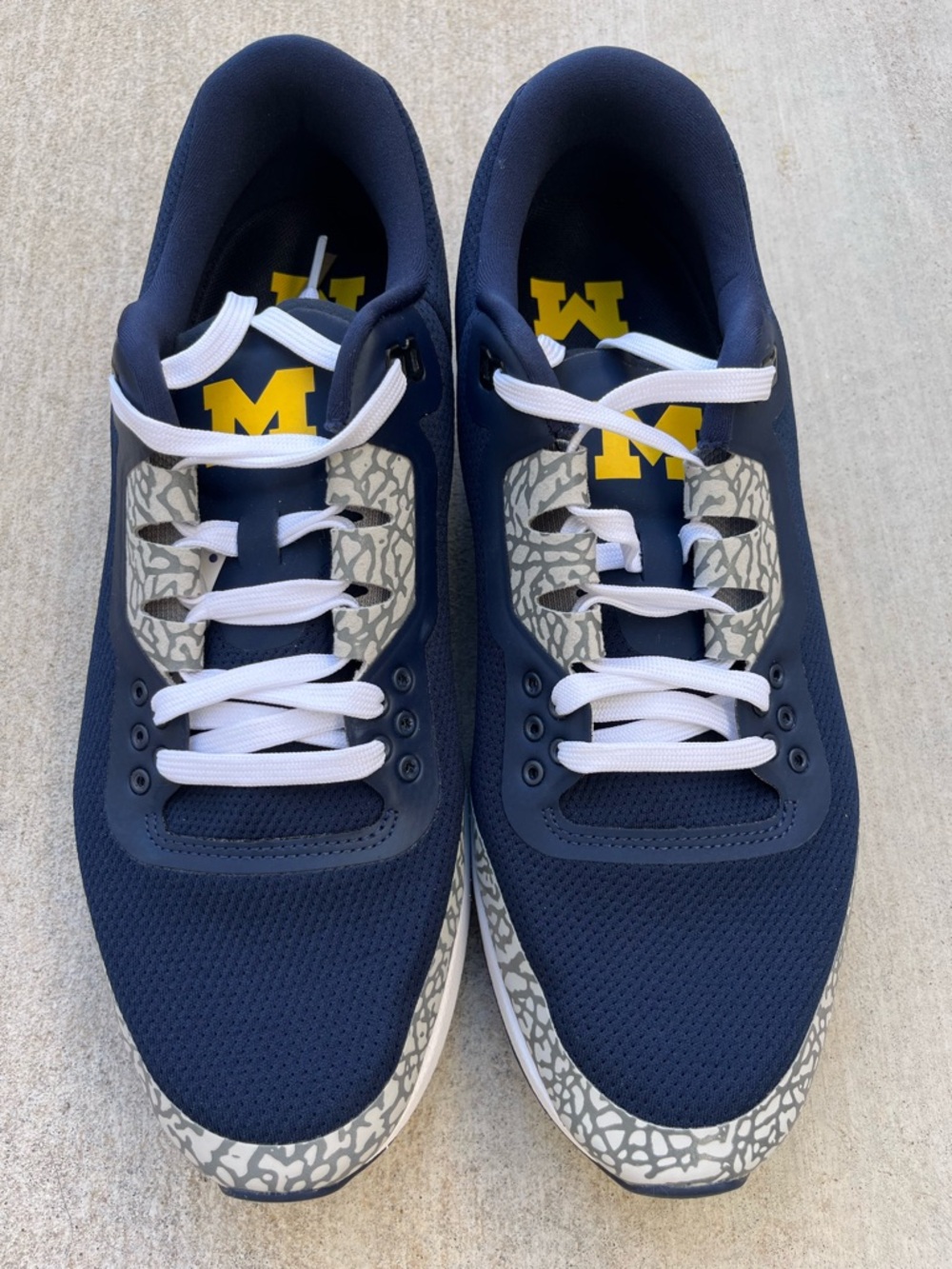 Nike Jordan Zoom Tenacity 88 Michigan Wolverines PE (IF2972-447) Men’s Size 12.5